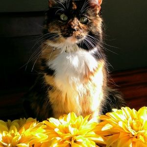 Meet your Posher, Tami